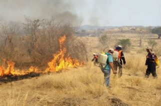 Registra Guerrero 12 incendios forestales activos, informa Protección Civil