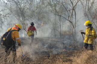 Continuan trabajos para sofocar incendio en iguala.