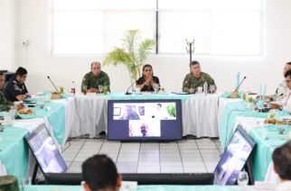 Se reforzarán acciones de seguridad en Guerrero: Evelyn Salgado