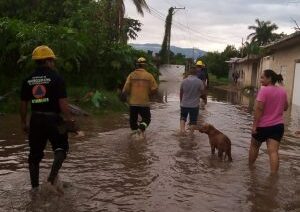 Personal de SPCGRO atiende afectaciones por las lluvias en Pungarabato