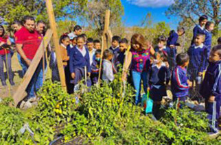 Se amplía el programa “Alimentación para el bienestar de niñas y niños”, para atender más escuelas en Guerrero