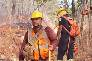 Brigadistas de la SGIRPCGRO trabajan en la sofocación de un incendio forestal a un costado de la autopista del sol