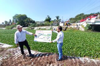 Gobierno estatal realiza desazolve de lirio acuático en el arroyo Colacho en Acapulco para prevenir inundaciones