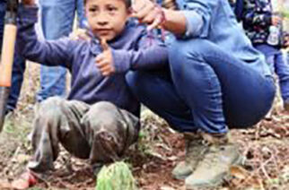 Encabeza Evelyn Salgado actividad de reforestación en Llanos de Tepoxtepec