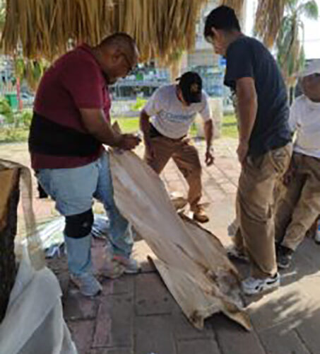 Se realizará el encendido de la Villa Navideña por el rescate del Parque Papagayo